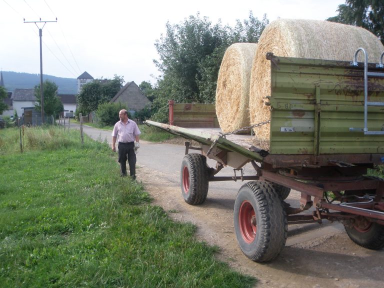 1. Erntefest 2010