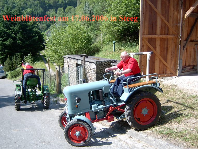 Weinblütenfest Steeg 2006