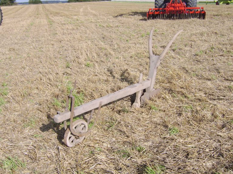Feld- und Waldtag Mörschbach 2006