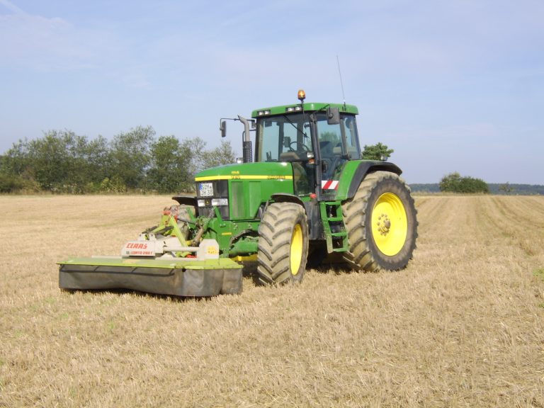 Feld- und Waldtag Mörschbach 2006