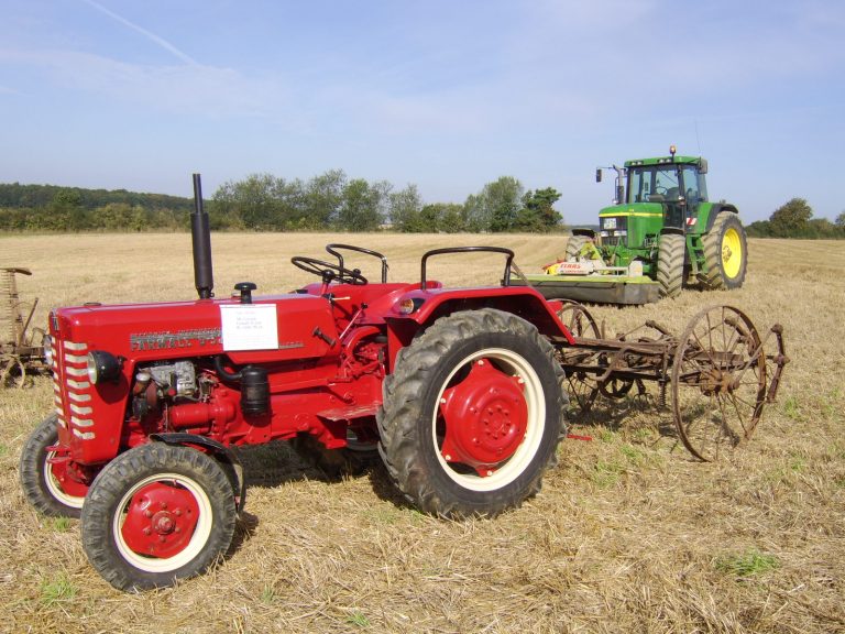 Feld- und Waldtag Mörschbach 2006