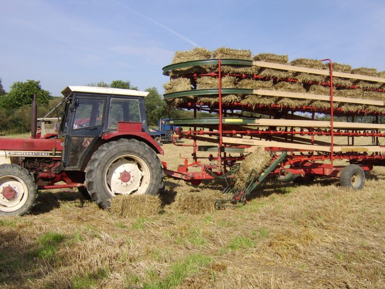 Feld- und Waldtag Mörschbach 2006