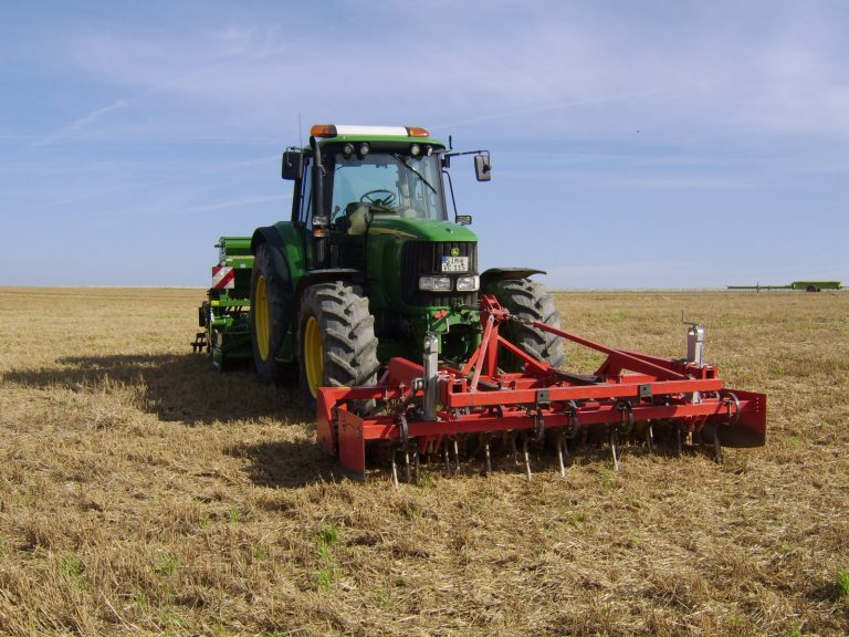Feld- und Waldtag Mörschbach 2006