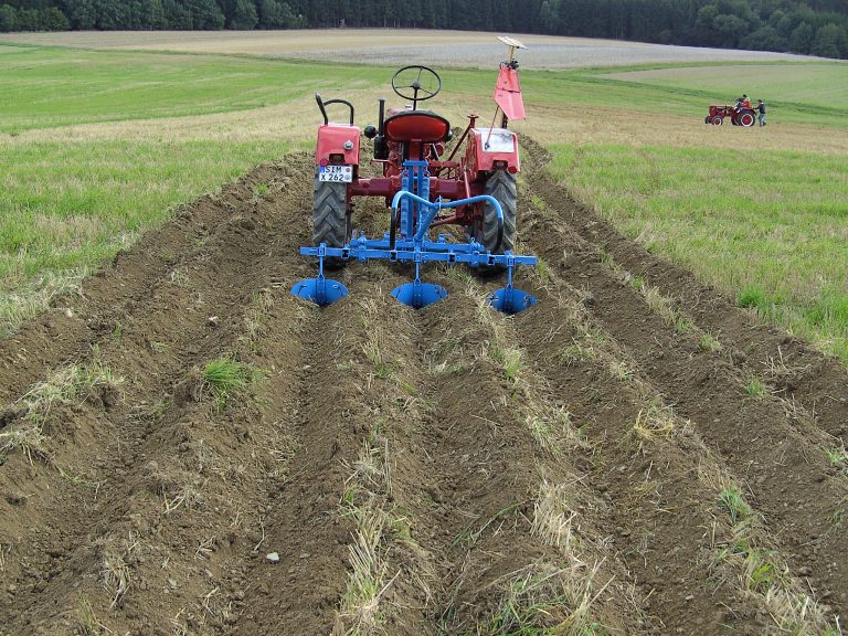 Feld- und Waldtag Mörschbach 2006