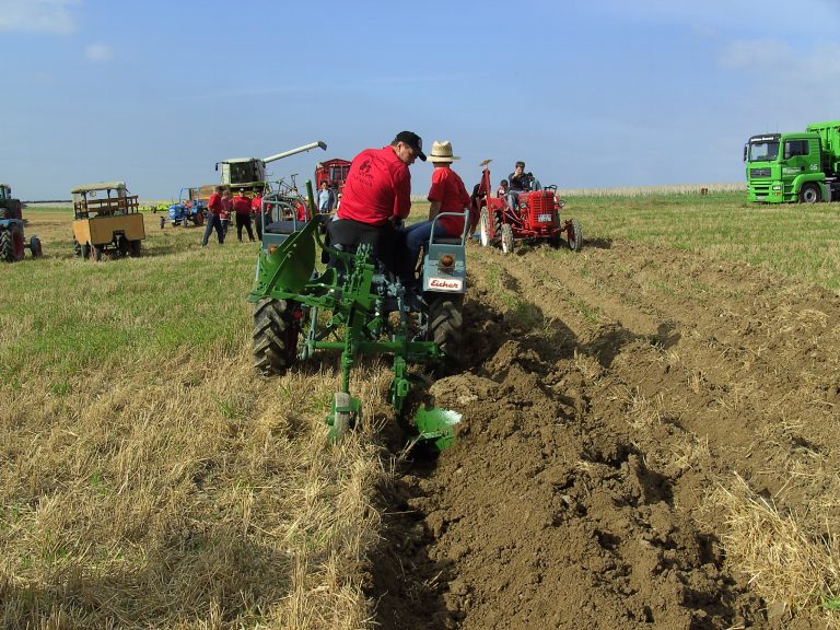 Feld- und Waldtag Mörschbach 2006