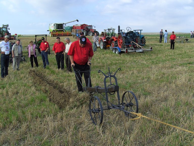 Feld- und Waldtag Mörschbach 2006