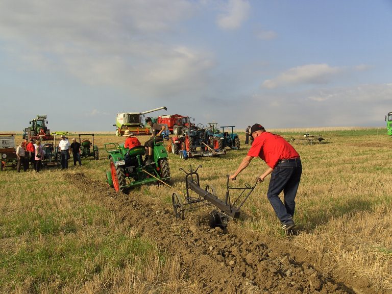 Feld- und Waldtag Mörschbach 2006