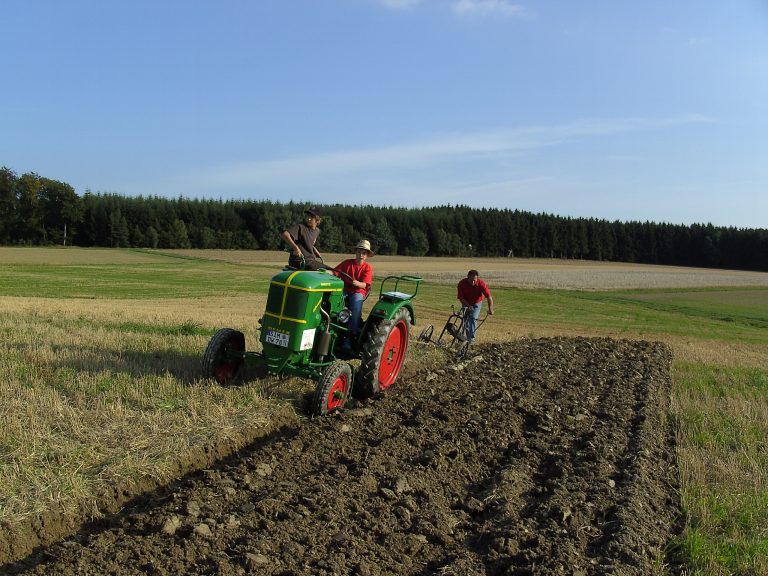Feld- und Waldtag Mörschbach 2006