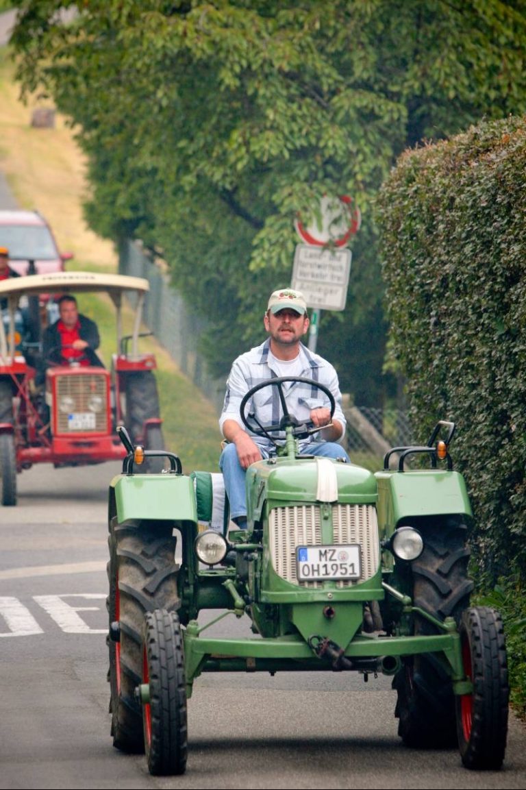 Waldfest Holzfeld 2009